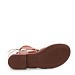 Camel gladijatorke K8873S